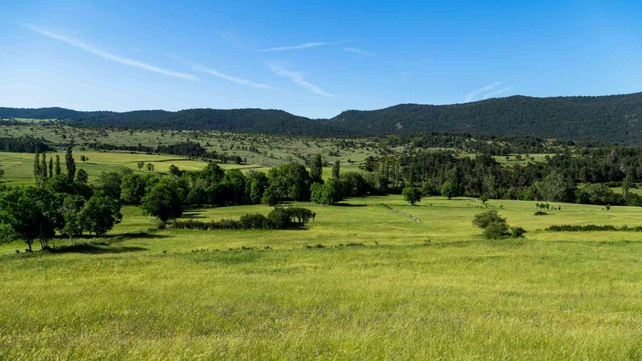 Eco-Apartaments Cal Rossa De Taus Екстер'єр фото